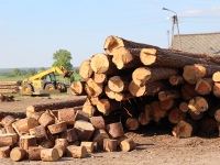 drewno opaowe
